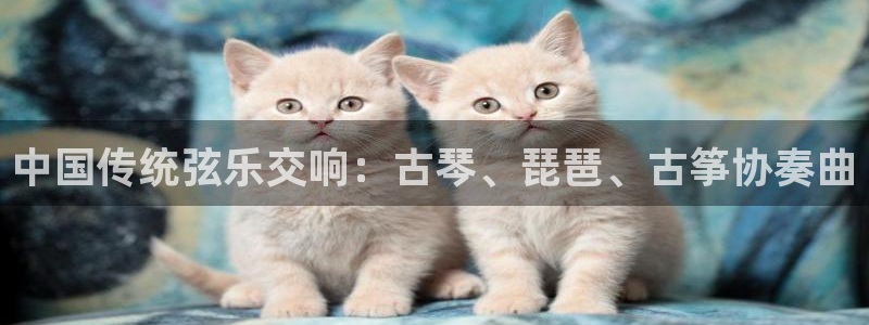 凯发k8国际版官网