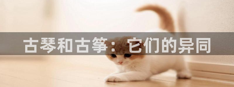 凯发线上app苹果版下载