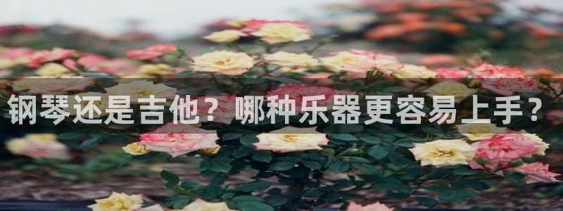 凯发国际平台app