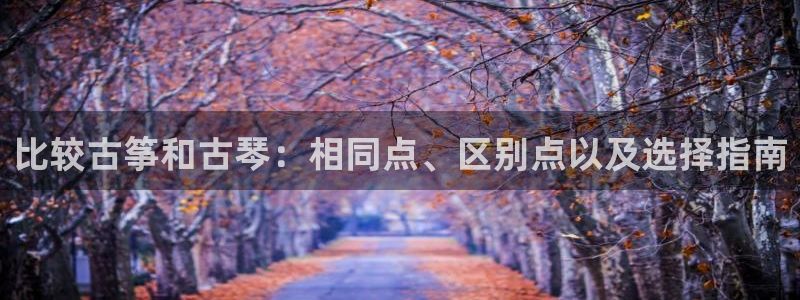 凯发网址多少