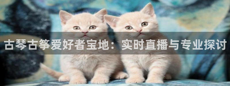凯发k8app下载