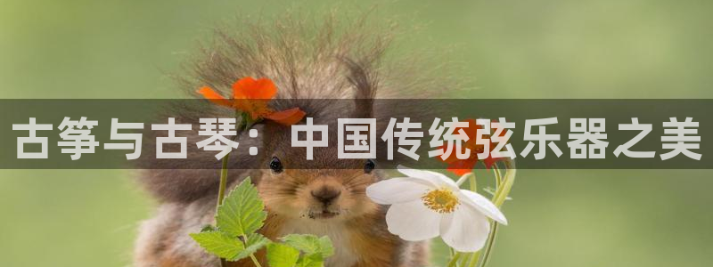 凯发k8国际真人娱乐旗舰厅