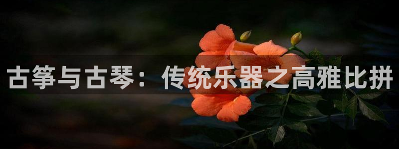 凯发app是干嘛的