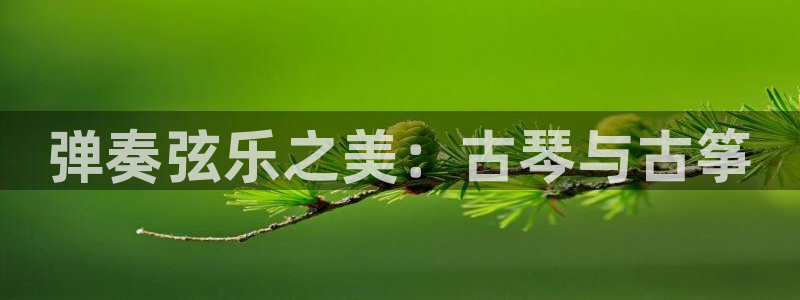 凯发k8娱乐欢迎您