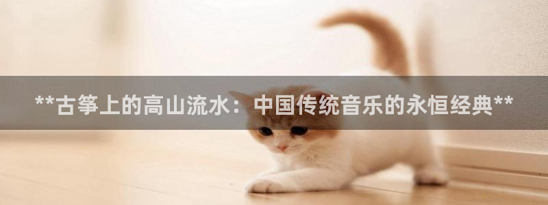 凯发官网网址多少