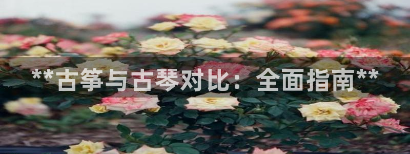 凯发官网地址
