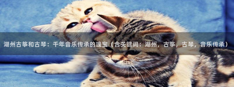 凯发k8官方网娱乐官方