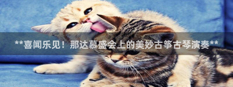 凯发官网平台