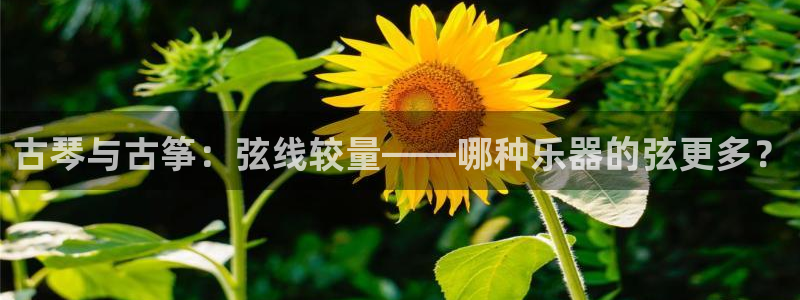 凯发唯一官方网站
