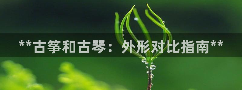 凯发k8官方网娱乐官方