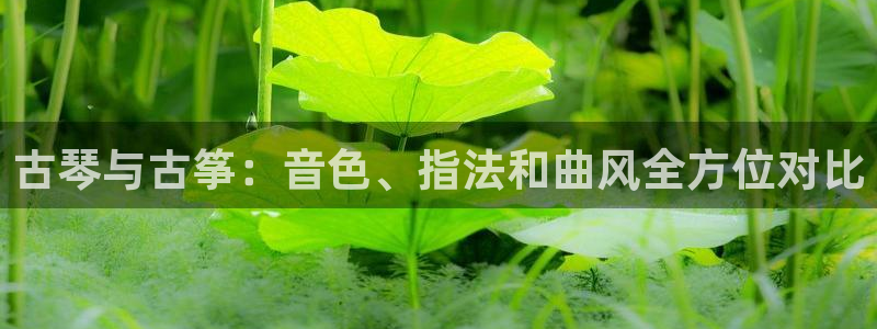 凯发k8全球公开