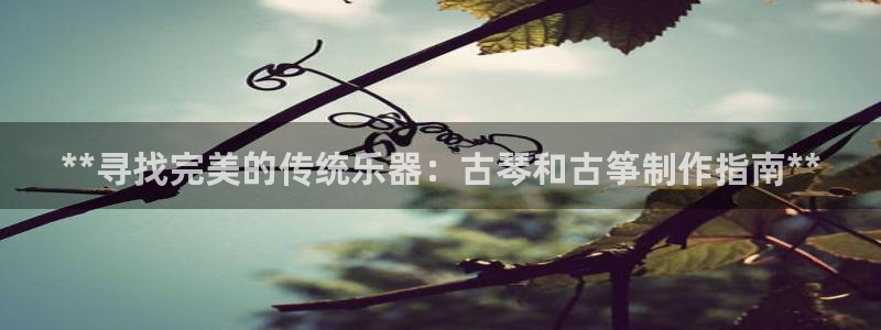 凯发k8全球公开