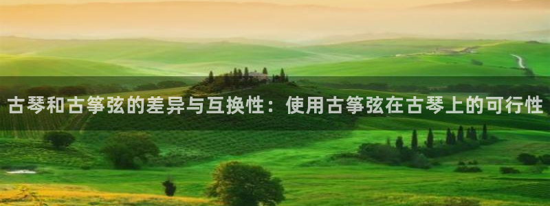 凯发娱网址是什么