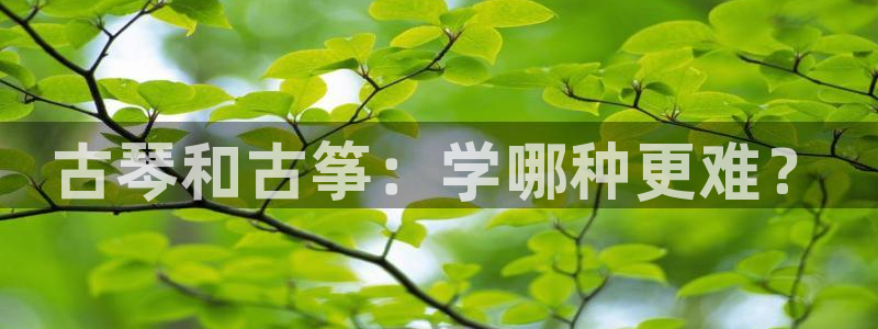 凯发k8娱乐倒闭了吗：古琴和古筝：学哪种更难？