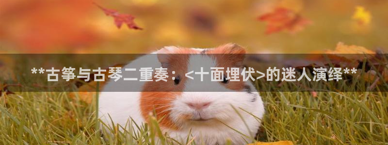 凯发正规网站