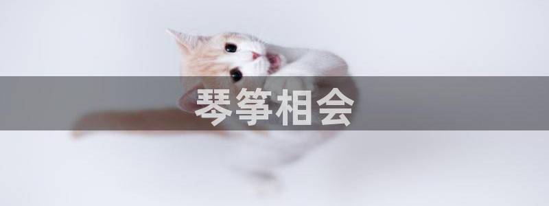凯发k81111国际真人版