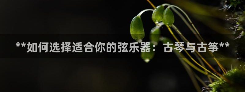 凯发k8旗舰店