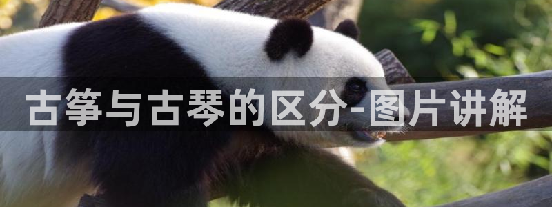 凯发旗舰厅