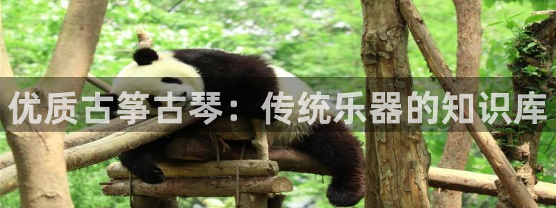 凯发k8娱乐官网网址中心