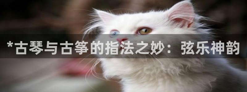 凯发k8旗舰厅app下载i来就送38元