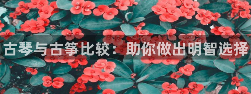 凯发k8国际app