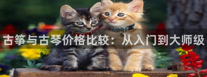 凯发手机唯一