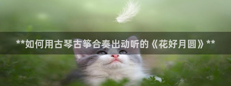 凯发国际网址官网查询