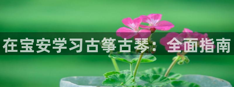 凯发网站是多少