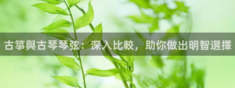 凯发网官网