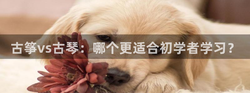 凯发注册手机版官网