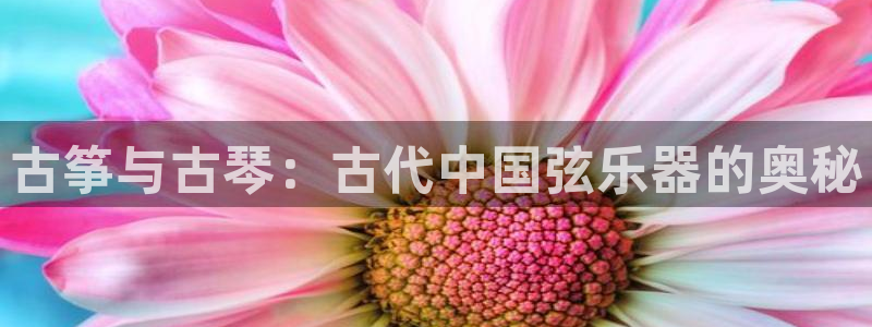 凯发网娱乐官网国际