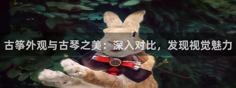凯发k8娱乐平台