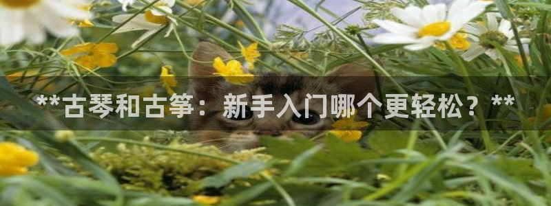 凯发k8是真是假
