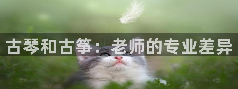凯发娱乐官方网：古琴和古筝：老师的专业差异