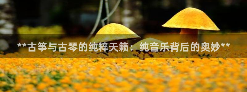 凯发娱乐k8国际