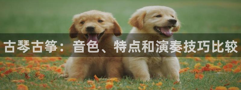 凯发官网下载客户端：古琴古筝：音色、特点和演奏技巧比较