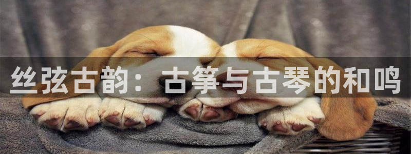凯发k8国际真人版安全送38元：丝弦古韵：古筝与古琴的和鸣