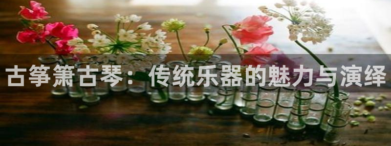凯发k8ag85856：古筝箫古琴：传统乐器的魅力与演绎