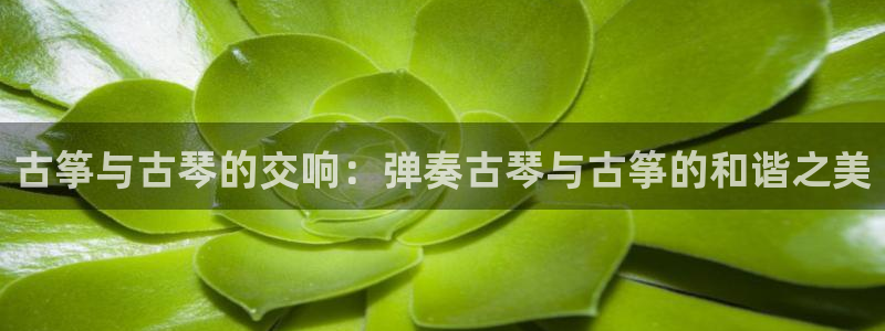 凯发国际可靠送38元：古筝与古琴的交响：弹奏古琴与古筝的和谐