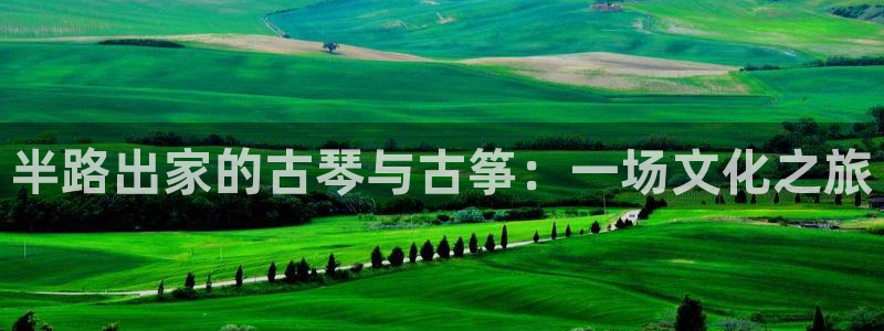 凯发k8娱乐平台：半路出家的古琴与古筝：一场文化之旅