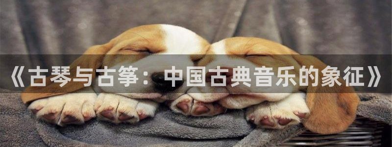 凯发k8国际真人版可靠送38元