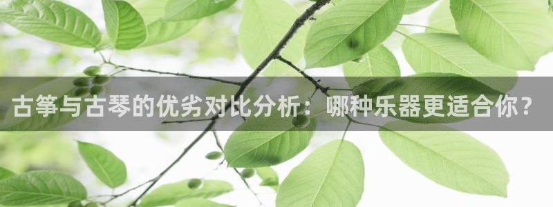 凯发官网手机app