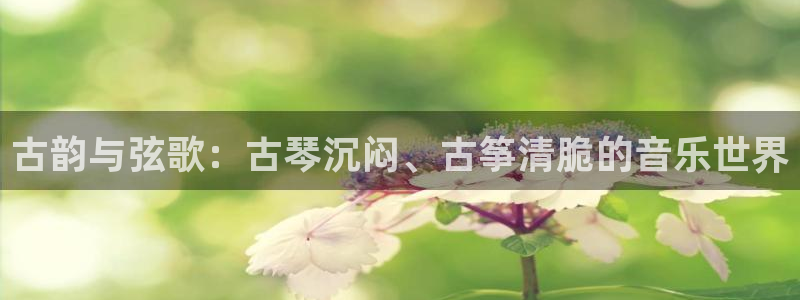 凯发是正规平台吗：古韵与弦歌：古琴沉闷、古筝清脆的音乐世界