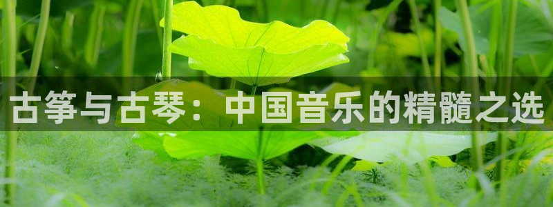 凯发首页登录：古筝与古琴：中国音乐的精髓之选