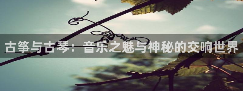 凯发国际k8官网登录：古筝与古琴：音乐之魅与神秘的交响世界