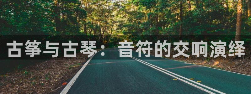 凯发k8国际官网可靠吗：古筝与古琴：音符的交响演绎
