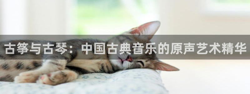 k8凯发官方找就送38