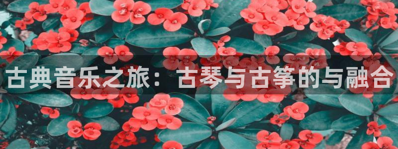 凯发国际网址官网查询：古典音乐之旅：古琴与古筝的与融合