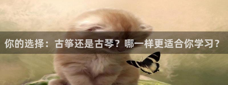 凯发娱乐官方网站：你的选择：古筝还是古琴？哪一样更适合你学习