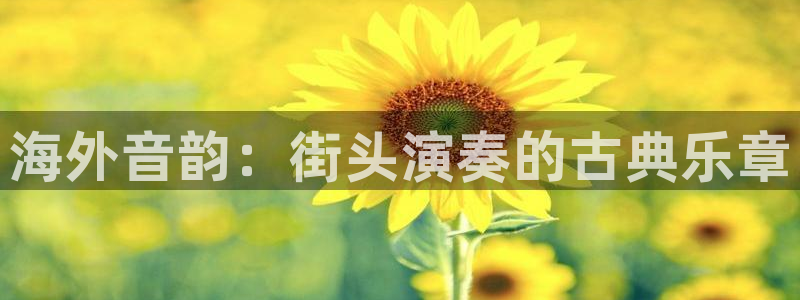 凯发k8国际真人版安全送38元：海外音韵：街头演奏的古典乐章